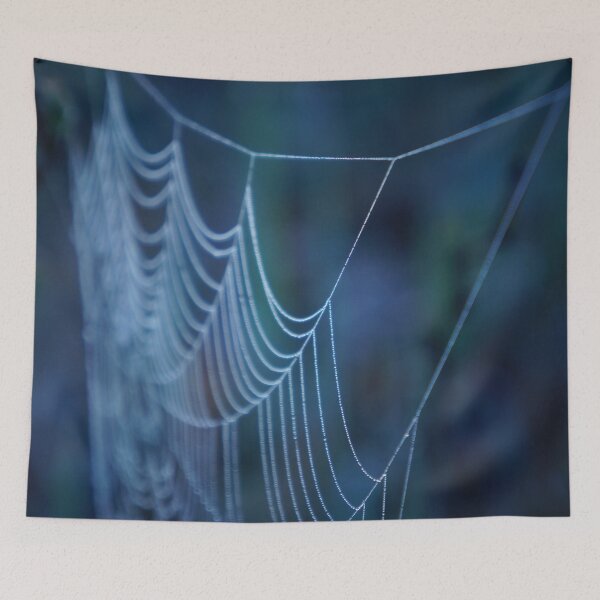 Item preview, Dew Covered Spider Web Macro designed and sold by Nalinne Jones.
