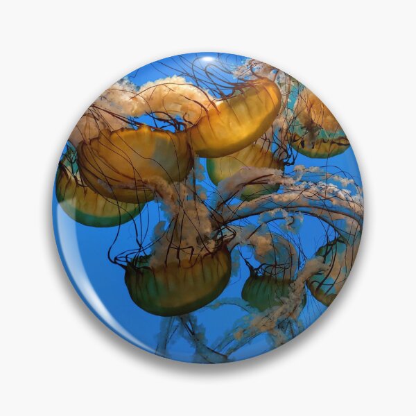 Item preview, Baltimore Aquarium: Jellyfish designed and sold by LissetteRodz.