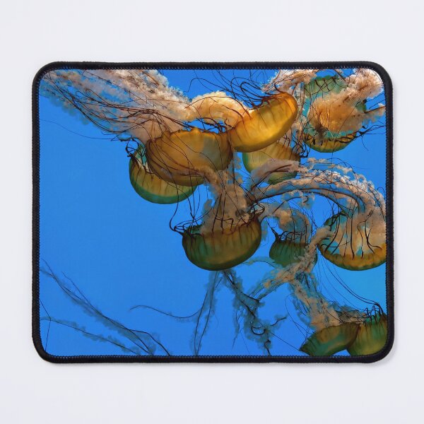 Item preview, Baltimore Aquarium: Jellyfish designed and sold by LissetteRodz.