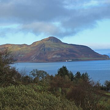 Artwork thumbnail, Holy Isle view by Fiona MacNab