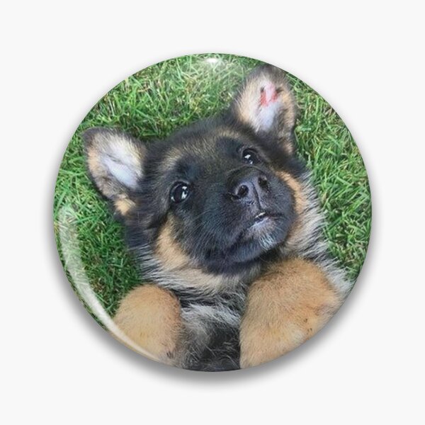 Artikelvorschau, Deutscher Schäferhund Fotoporträt süßer Welpe süßer Gesichtshund entworfen und verkauft von Coolstuff4you71.