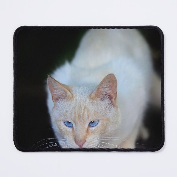 Item preview, Portrait of blue eyed white cat designed and sold by olena2552.