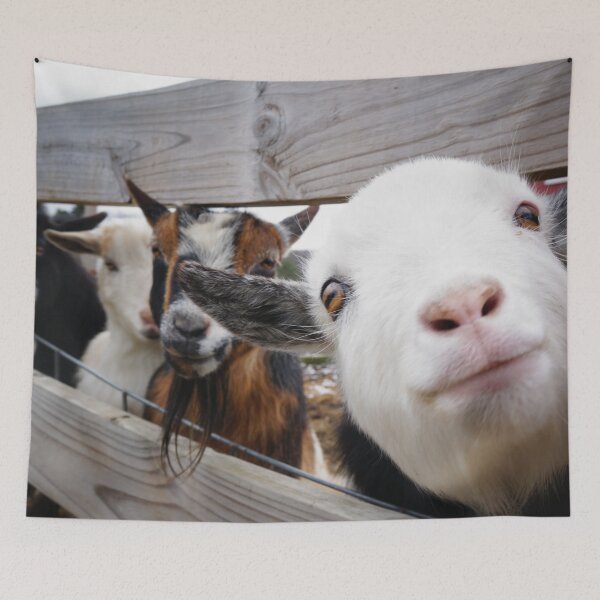 Item preview, Friendly Goats designed and sold by Nalinne Jones.