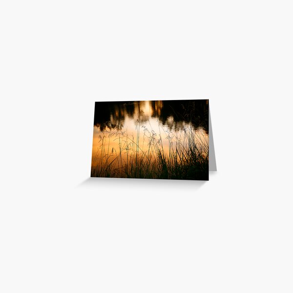 Grasses at Willow Pond Greeting Card