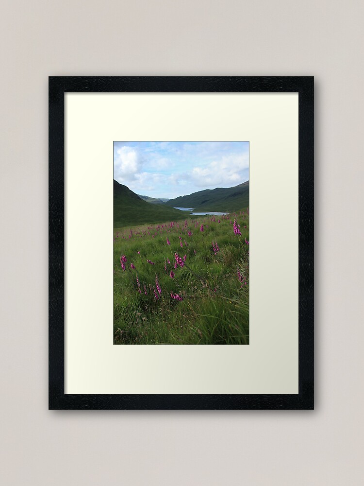 Alternate view of Field of foxgloves II Framed Art Print