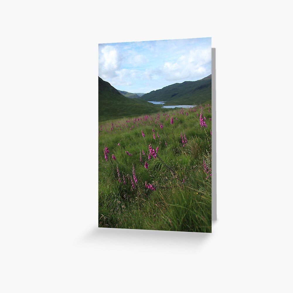 Field of foxgloves II Greeting Card