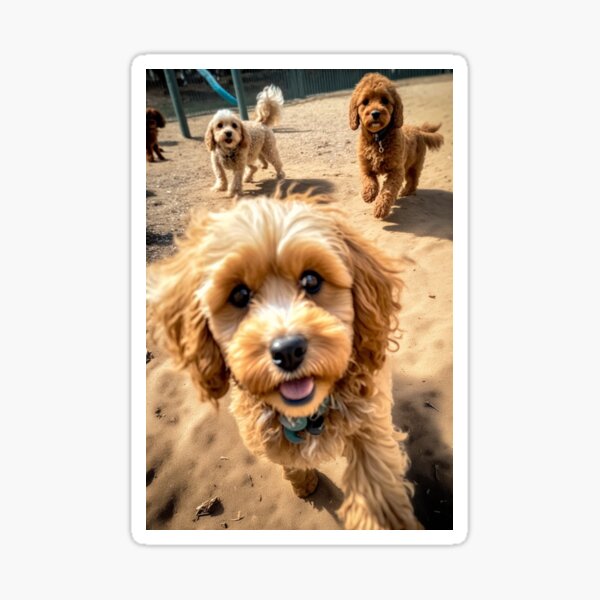 Item preview, Cavoodle Dog Park Dates! designed and sold by Cavoodle-Land.