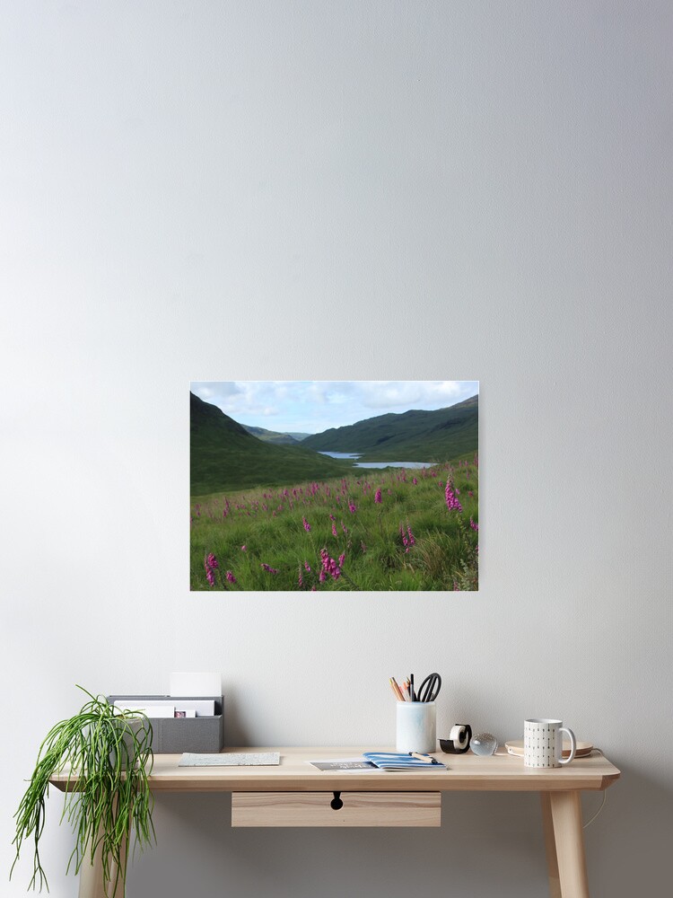 Thumbnail 2 of 3, Poster, Field of foxgloves I designed and sold by orcadia.