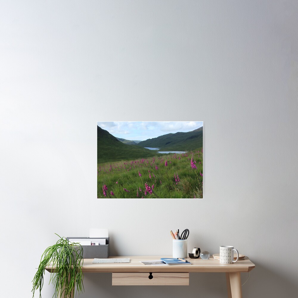 Field of foxgloves I Poster