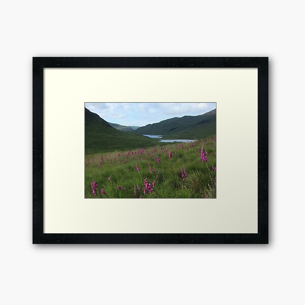 Item preview, Field of foxgloves I designed and sold by Fiona MacNab.