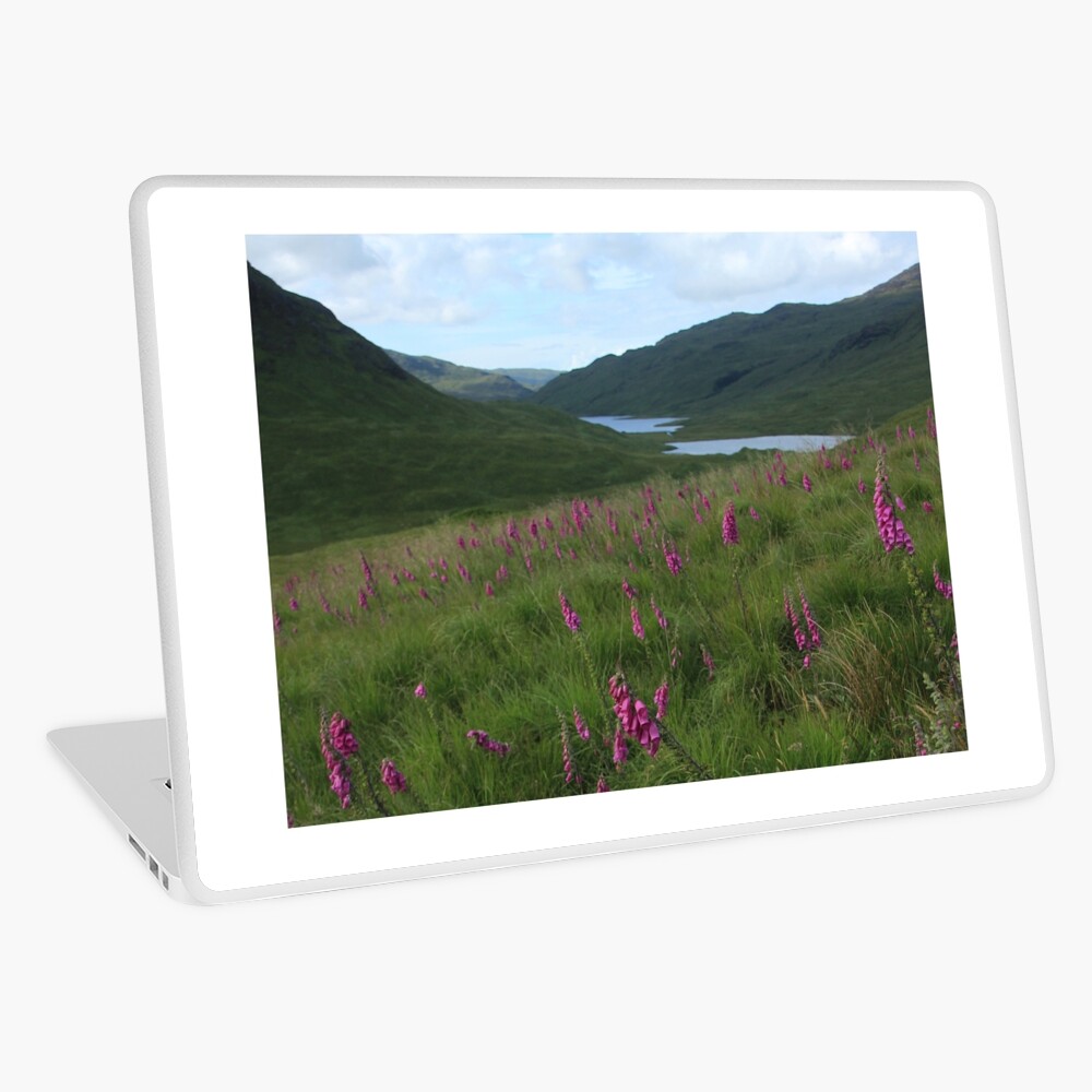 Field of foxgloves I Laptop Skin