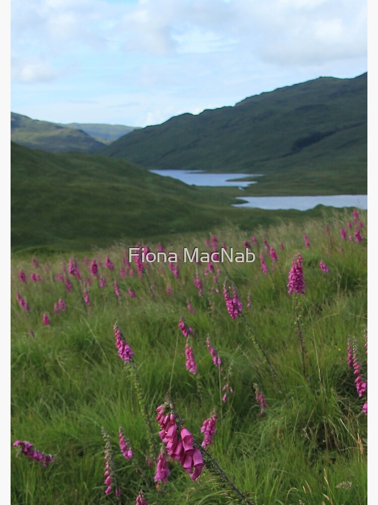 Thumbnail 3 of 3, Journal, Field of foxgloves I designed and sold by orcadia.