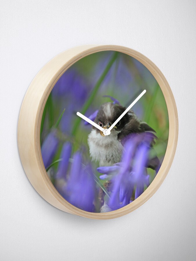 Alternate view of Bird in the blue Clock