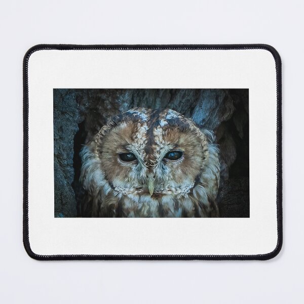 Item preview, Tawny Owl designed and sold by Mark Hetherington.