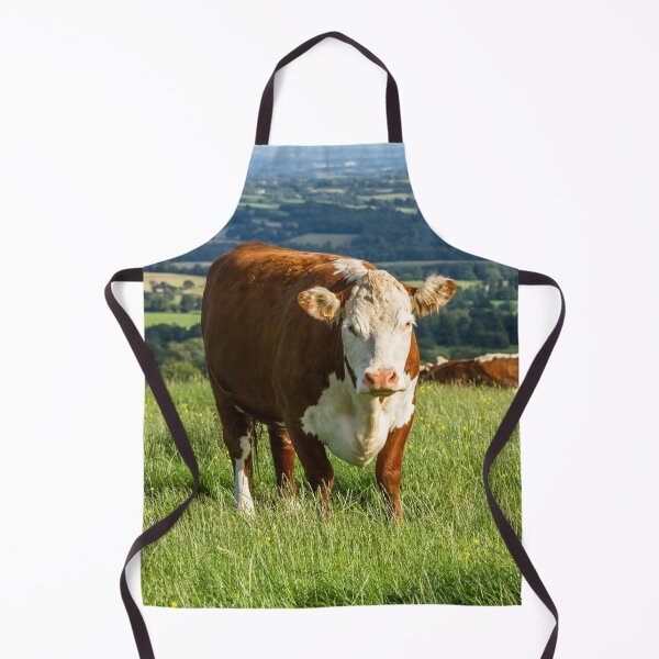 Cheeky Moo, Highland Cow Apron for Sale by Jane Stanley