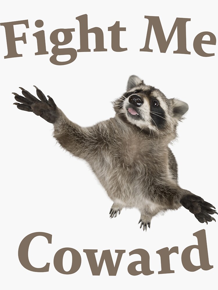 Fight Me Coward Raccoon Sticker, Raccoon Sticker Decal 