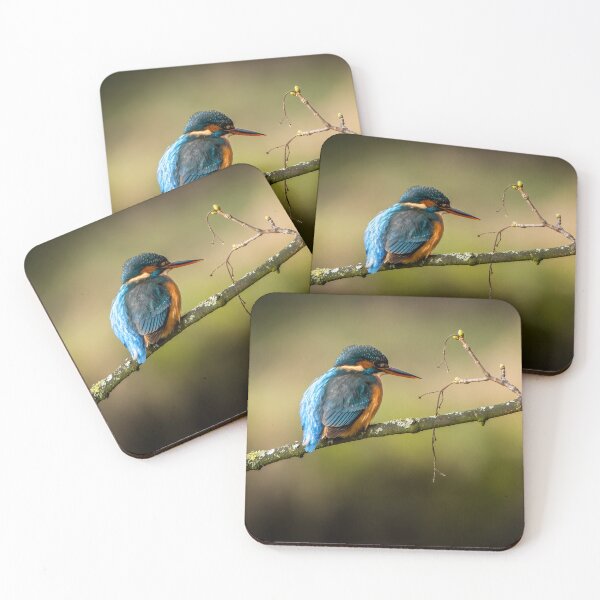 Item preview, Kingfisher designed and sold by Mark Hetherington.
