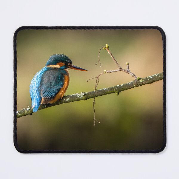 Item preview, Kingfisher designed and sold by Mark Hetherington.
