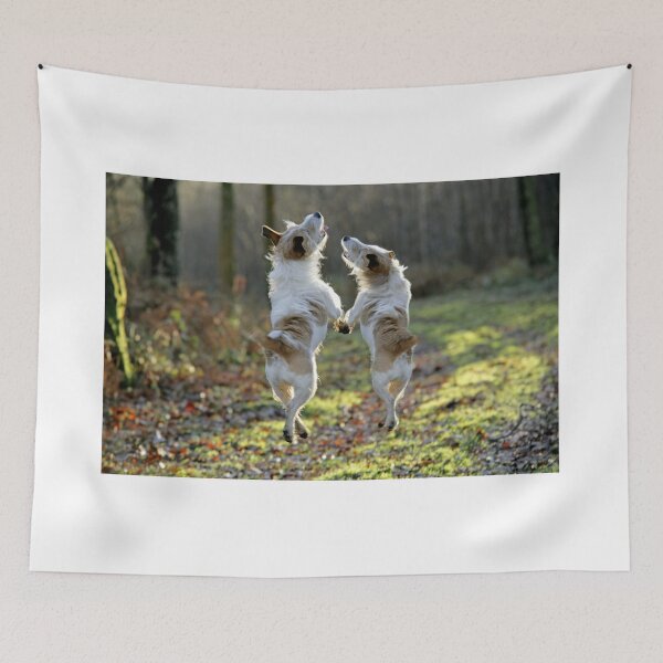 Item preview, Two Happy Jack Russells in the Forest designed and sold by ScienceSource.