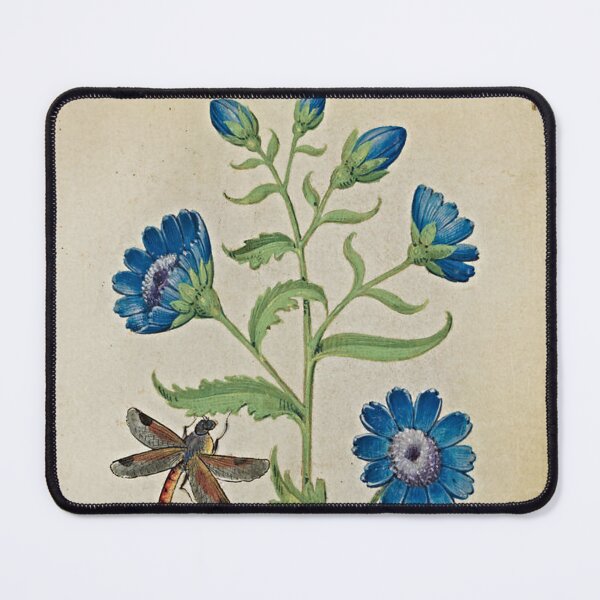 Item preview, Chicory flower wall art - vintage reproduction designed and sold by Haveonelikethis.