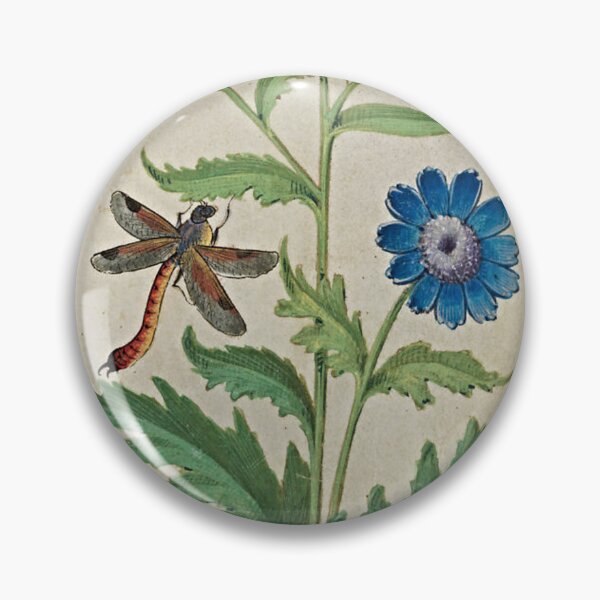 Item preview, Chicory flower wall art - vintage reproduction designed and sold by Haveonelikethis.
