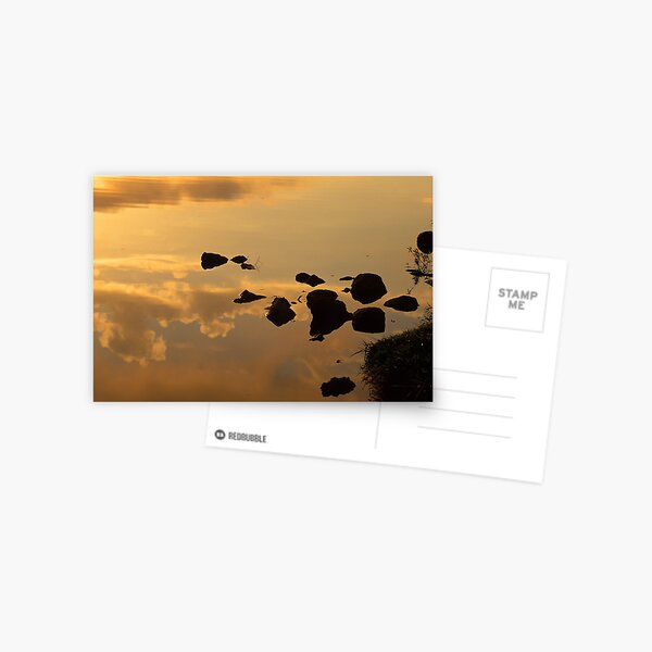 Texas Dawn Reflected Postcard
