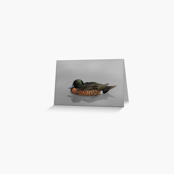 Item preview, Chestnut Teal designed and sold by rogersmith.