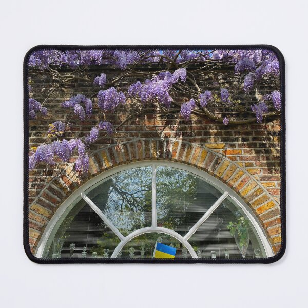 Item preview, Wisteria growing over a window with a small Ukrainian Flag designed and sold by Paddyb17.