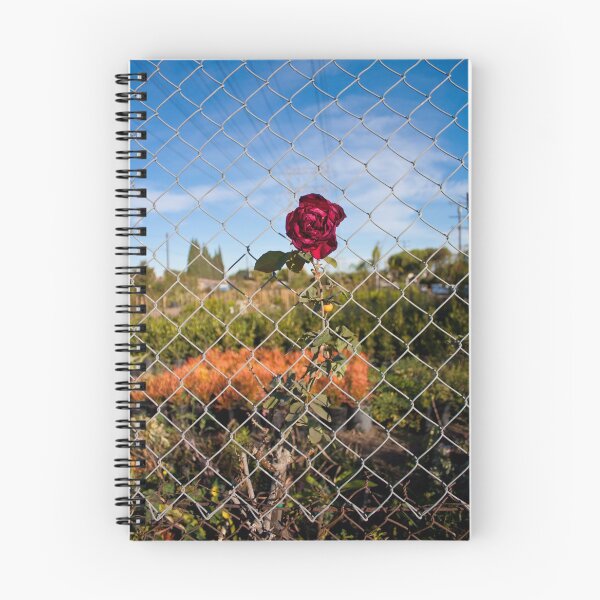 Item preview, Corner of Coke & Rose designed and sold by ReachOne.