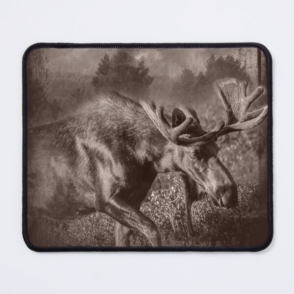Item preview, Moose in the fog designed and sold by boltjesdesign.