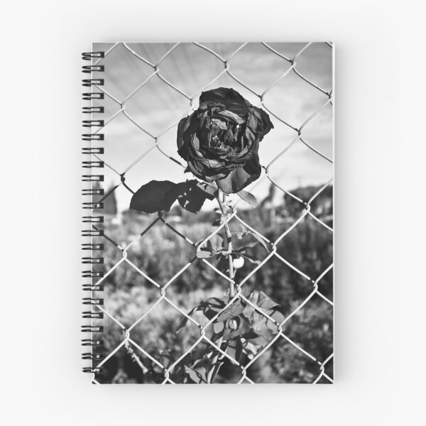 Item preview, Corner of Coke & Rose, BnW Hor. designed and sold by ReachOne.