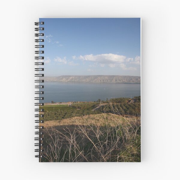 Item preview, The sea of Galilee and the Golan Heights designed and sold by orgal2.