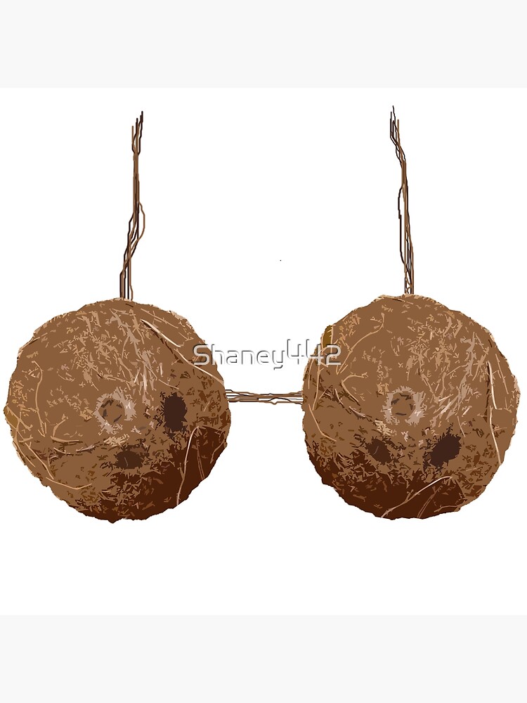 Coconut Bra - Party Time, Inc.