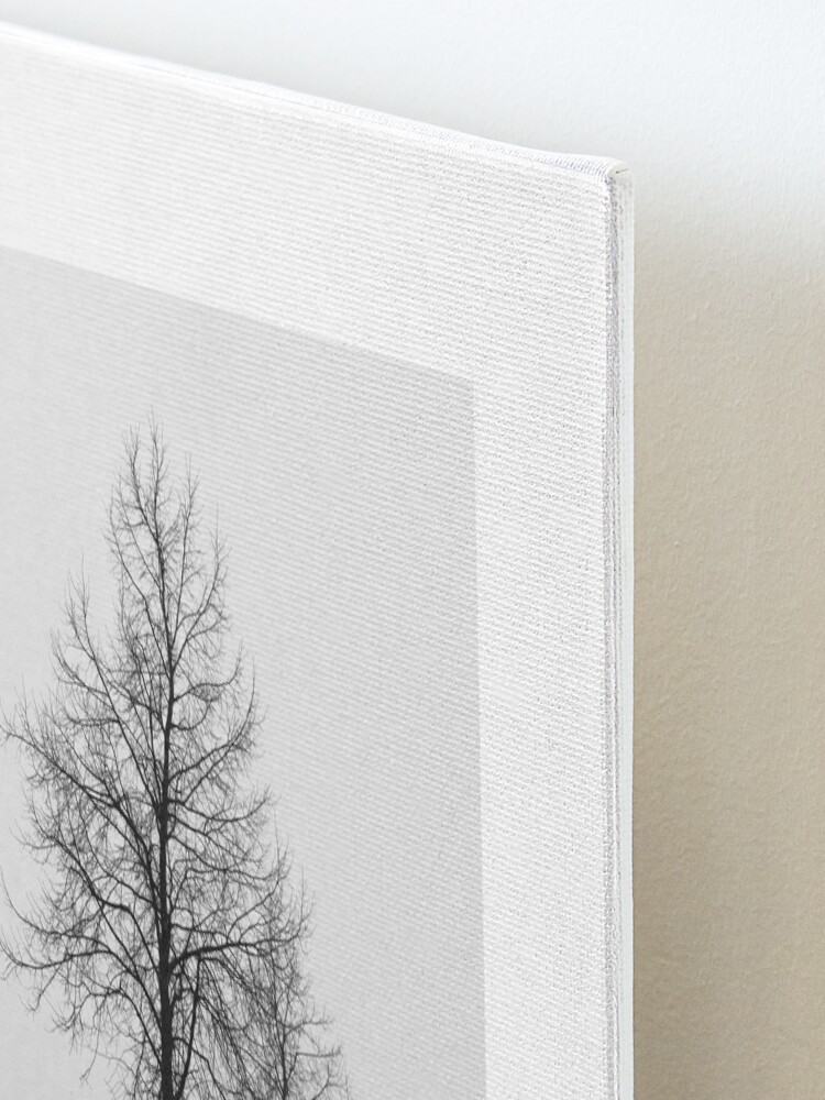 Thumbnail 3 of 6, Mounted Print, Silhouette of Three Trees designed and sold by Bjørnar Haveland.