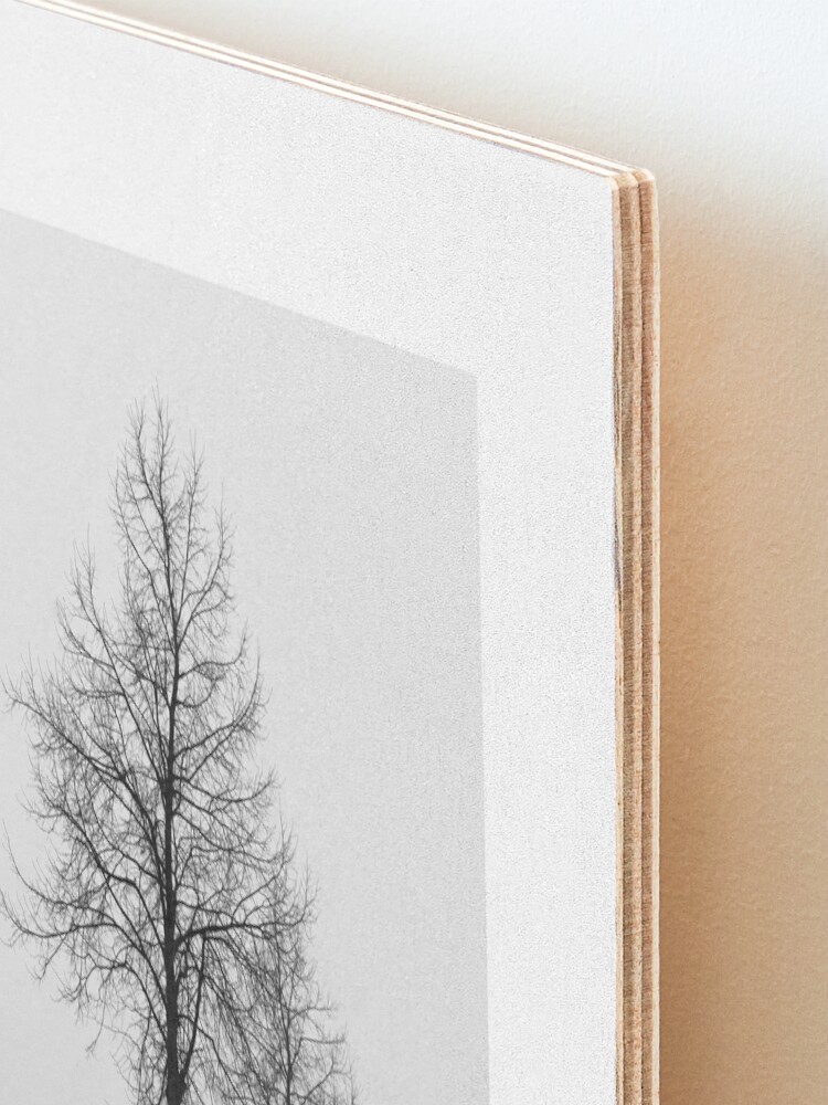 Thumbnail 3 of 6, Mounted Print, Silhouette of Three Trees designed and sold by Bjørnar Haveland.