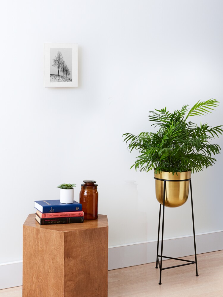 Thumbnail 1 of 6, Mounted Print, Silhouette of Three Trees designed and sold by Bjørnar Haveland.