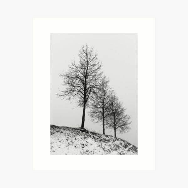 Silhouette of Three Trees Art Print