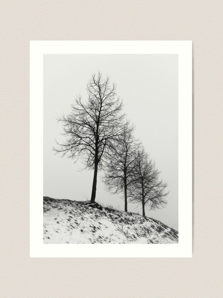 Thumbnail 2 of 3, Art Print, Silhouette of Three Trees designed and sold by Bjørnar Haveland.