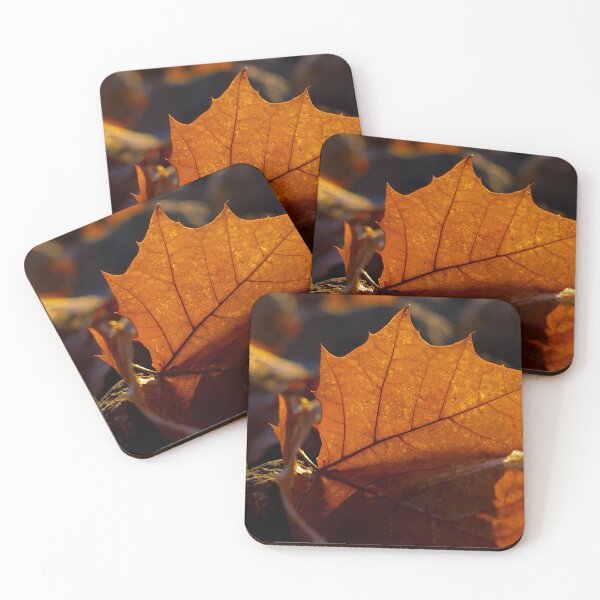Item preview, Orange autumn leaf close up designed and sold by KRFNatureGifts.
