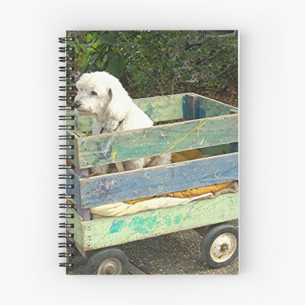 Item preview, Dog in a cart.......!! designed and sold by Roy  Massicks.