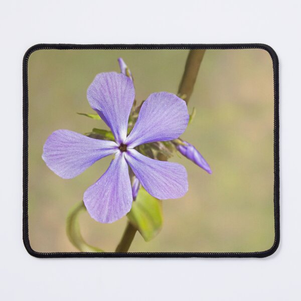 Item preview, Blue phlox macro flower photography designed and sold by KRFNatureGifts.