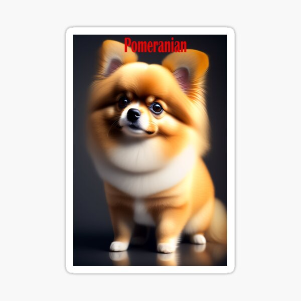 Pomeranian Sticker