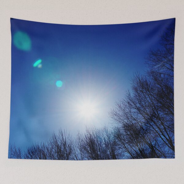 Item preview, Sun Shining Above Leafless Trees designed and sold by Nalinne Jones.