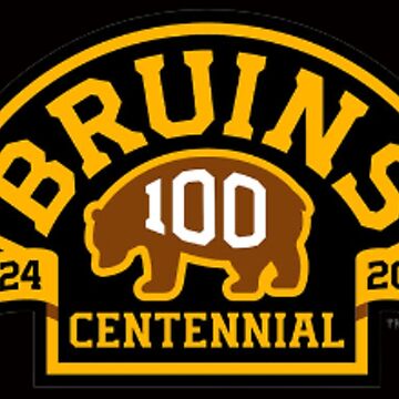 Boston Bruins T shirt Vintage Bear Style Logo NHL Hockey Size Small - Brown