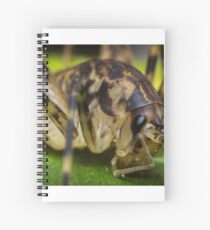 Closeup Cave Cricket Spiral Notebook