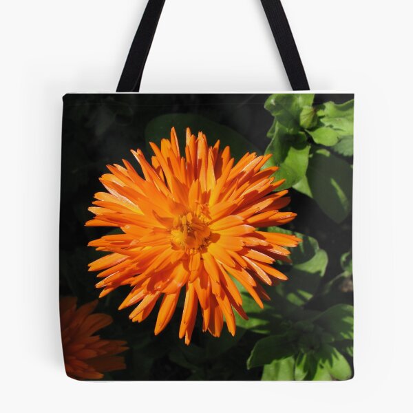 Item preview, Bursting with Colour designed and sold by Kathryn Jones.