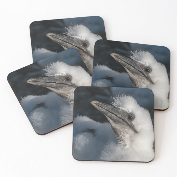 Item preview, Gannet Chick Fluffy Hair Style designed and sold by Tony Skerl.