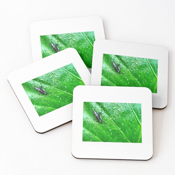 Item preview, Bug designed and sold by Javier Reyes.