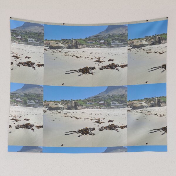 Item preview, Camps bay kelp designed and sold by Weather gifts .