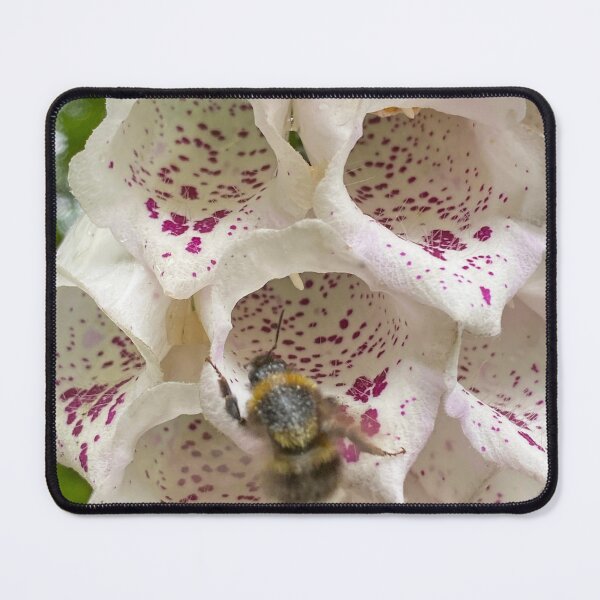 Item preview, Honeybee entering a Foxglove Flower designed and sold by Paddyb17.